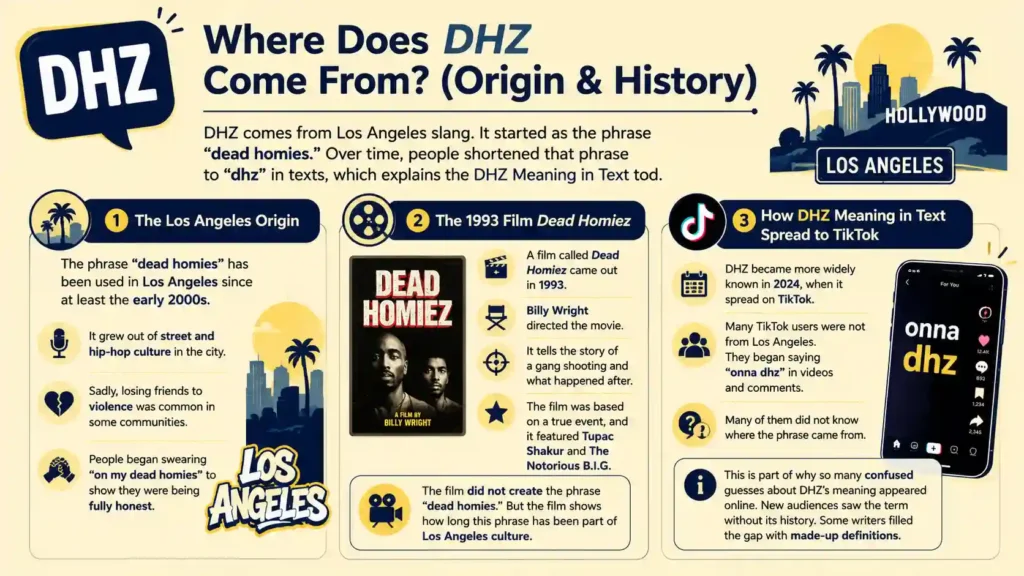 DHZ Meaning in Text