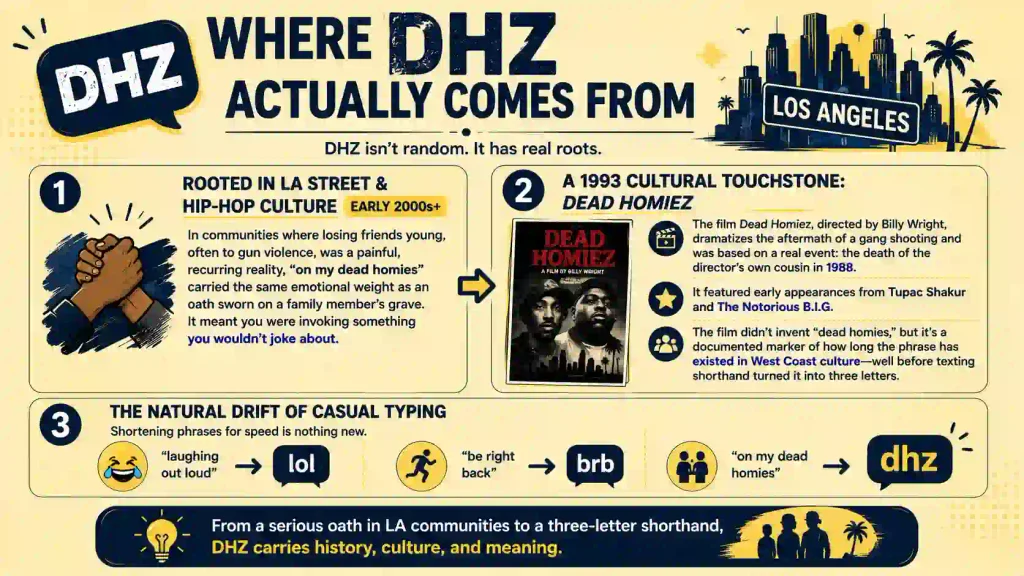 DHZ Meaning in Text