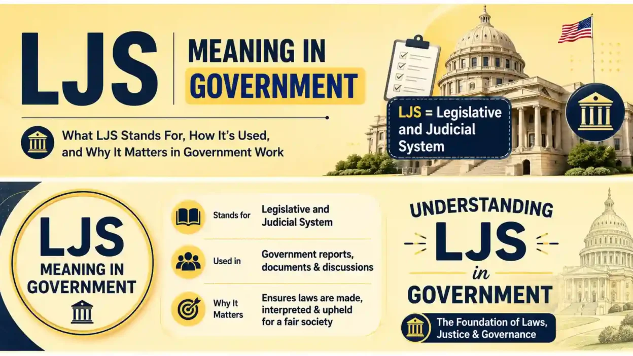 LJS Meaning in Government