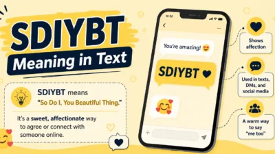 SDIYBT Meaning in Text