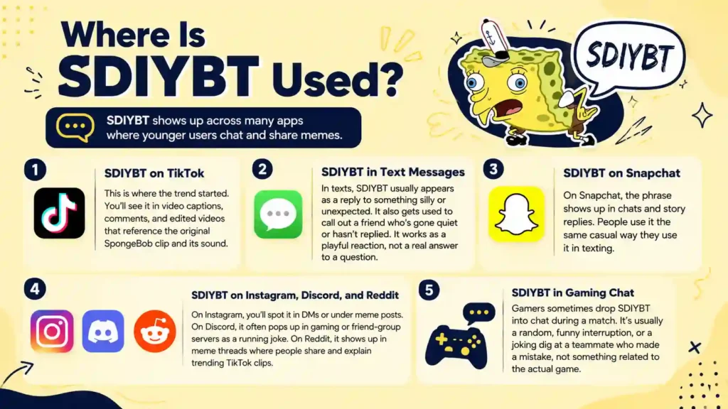 SDIYBT Meaning in Text